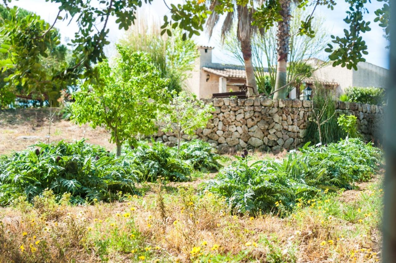 Villa سانتا مارجاليدا المظهر الخارجي الصورة