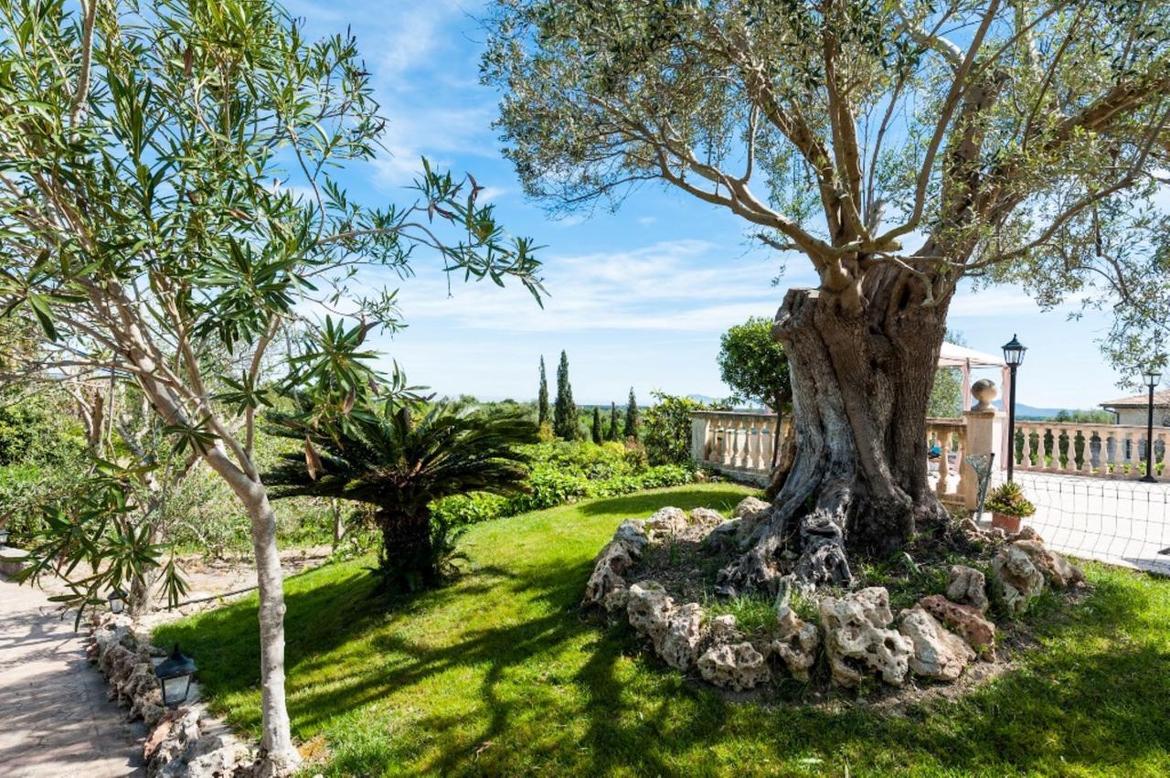 Villa سانتا مارجاليدا المظهر الخارجي الصورة