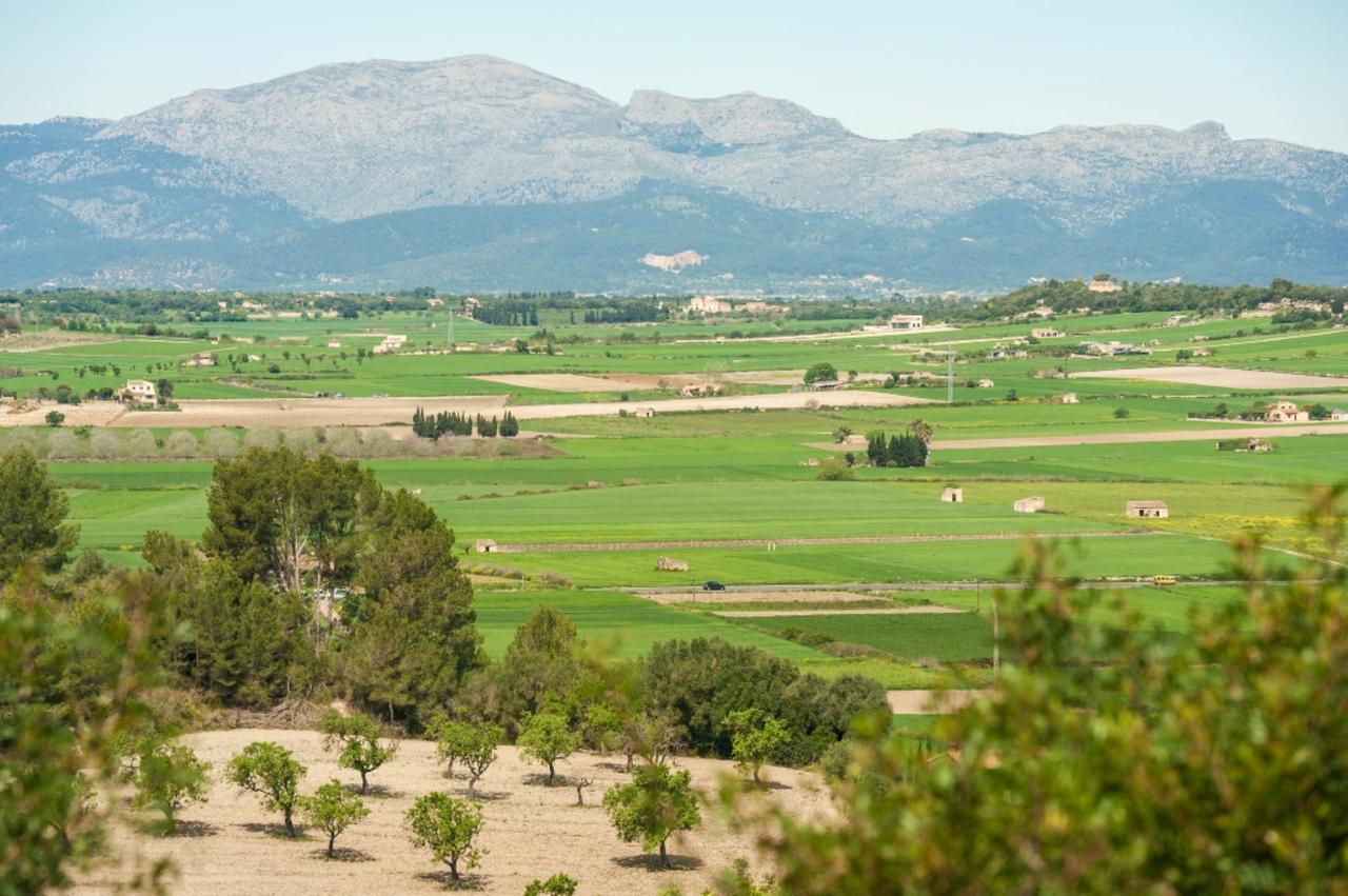 Villa سانتا مارجاليدا المظهر الخارجي الصورة
